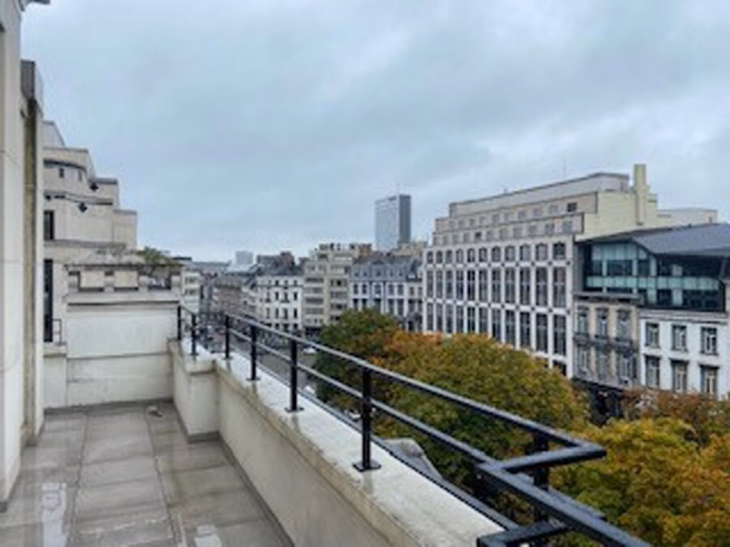 LOUISE 81 - B - 352/3455