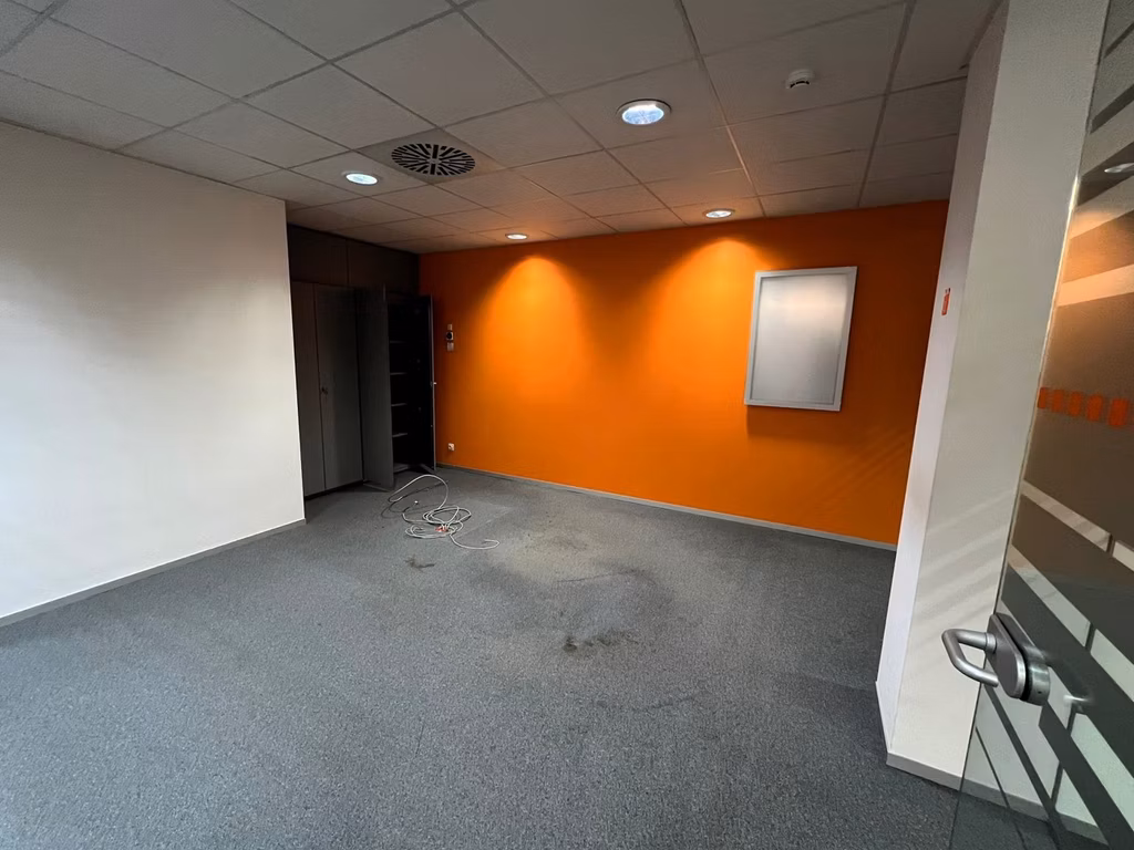 KONING LEOPOLD III PLEIN