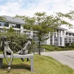 A LOUER - BUREAUX - HOIELAART