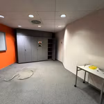 KONING LEOPOLD III PLEIN