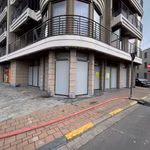 KONING LEOPOLD III PLEIN