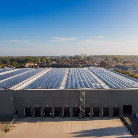 Immeuble industriel à louer <br> Willebroek