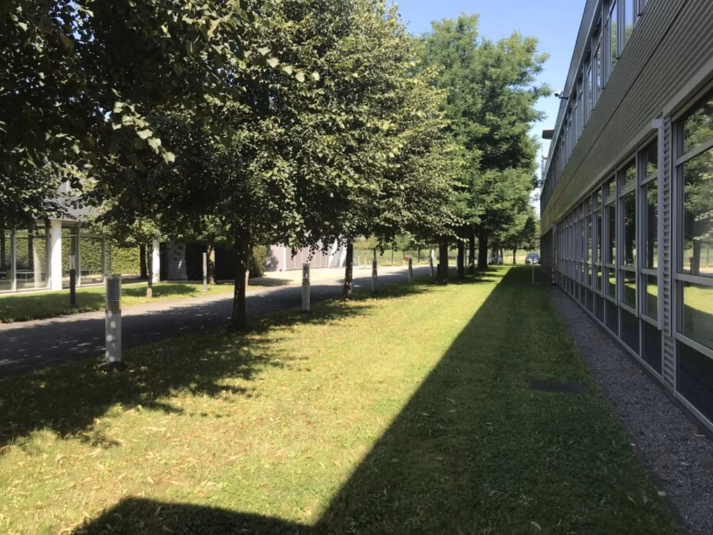 TE HUUR - KANTOREN - BEERSEL