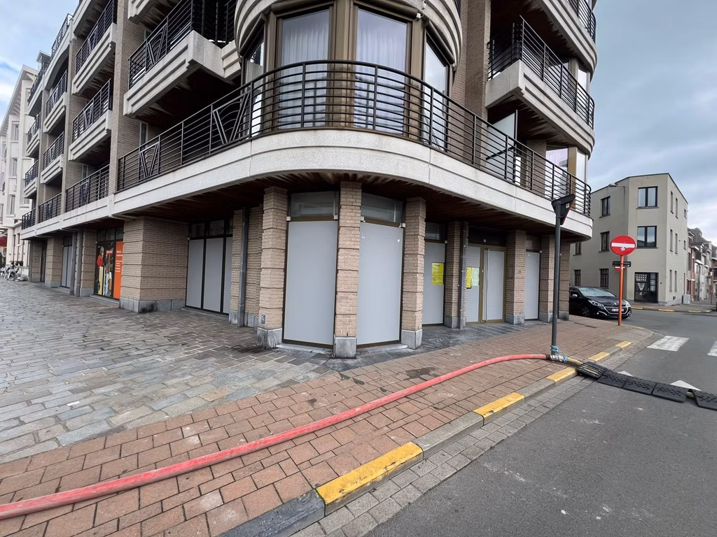 KONING LEOPOLD III PLEIN