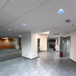 KONING LEOPOLD III PLEIN