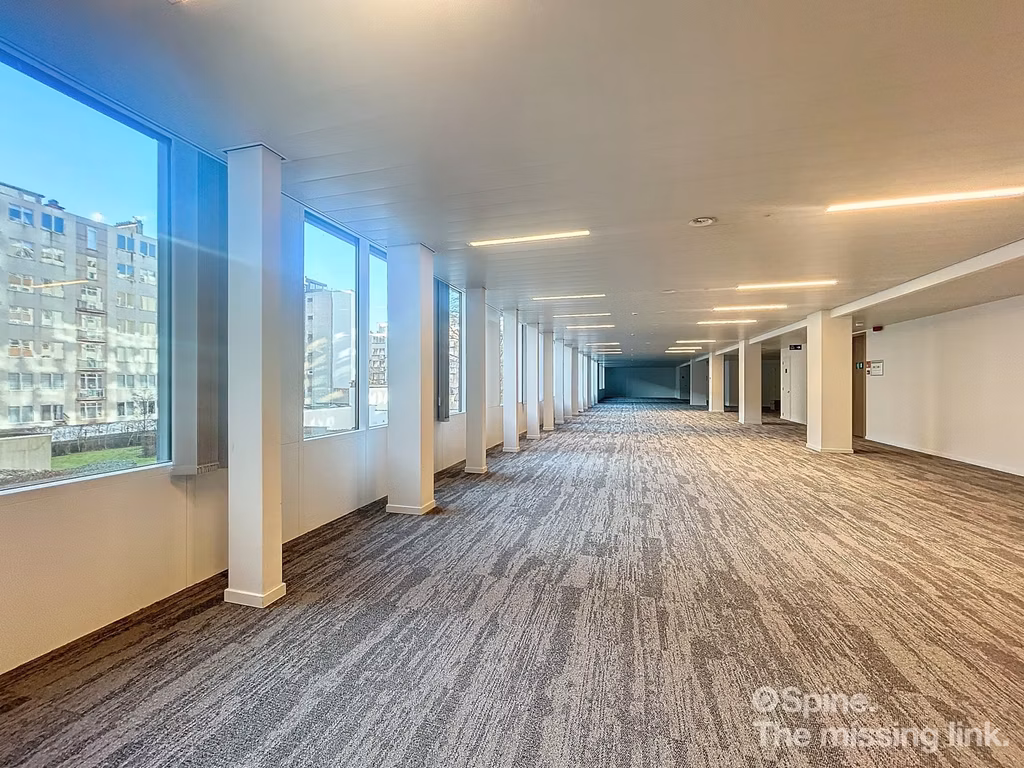 LOUISE 143 E-LITE - B - 352/1300