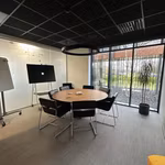 SCHUMAN 12