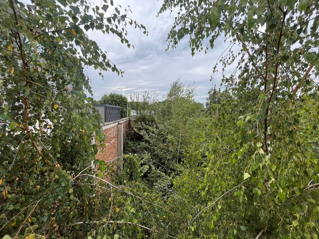 RUE MASSES DIARBOIS 71