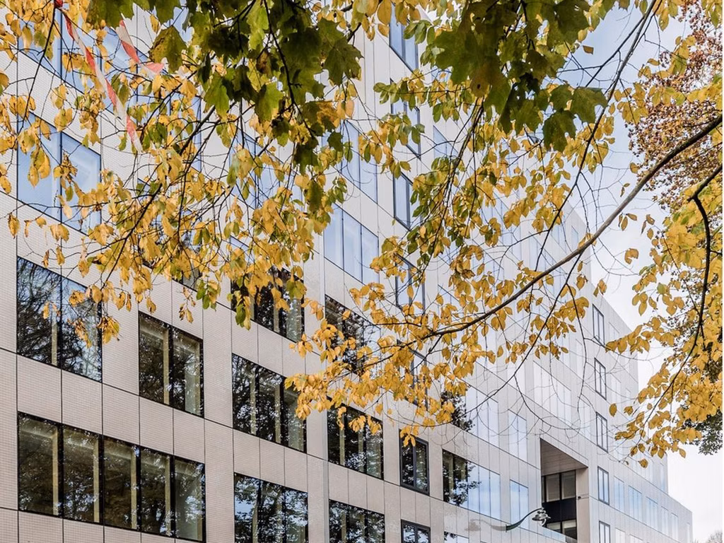 A LOUER - BUREAUX - BRUXELLES