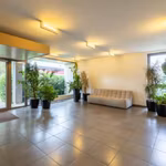 A LOUER ENTREPOT + BUREAUX - ZAVENTEM