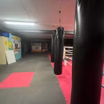 BRUSSELSESTEENWEG 445