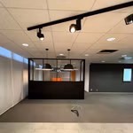 KONING LEOPOLD III PLEIN