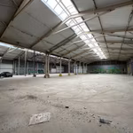 A LOUER - P.A.E Seneffe-Manage - Entrepôt
