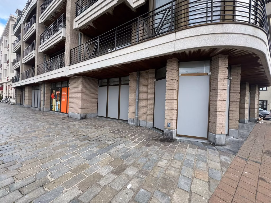 KONING LEOPOLD III PLEIN