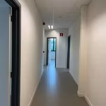 Industriel à louer <br> Bornem