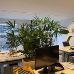 BUREAUX A LOUER - PLUG & PLAY