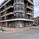 KONING LEOPOLD III PLEIN