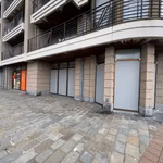 KONING LEOPOLD III PLEIN