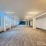 LOUISE 143 E-LITE - B - 352/1300