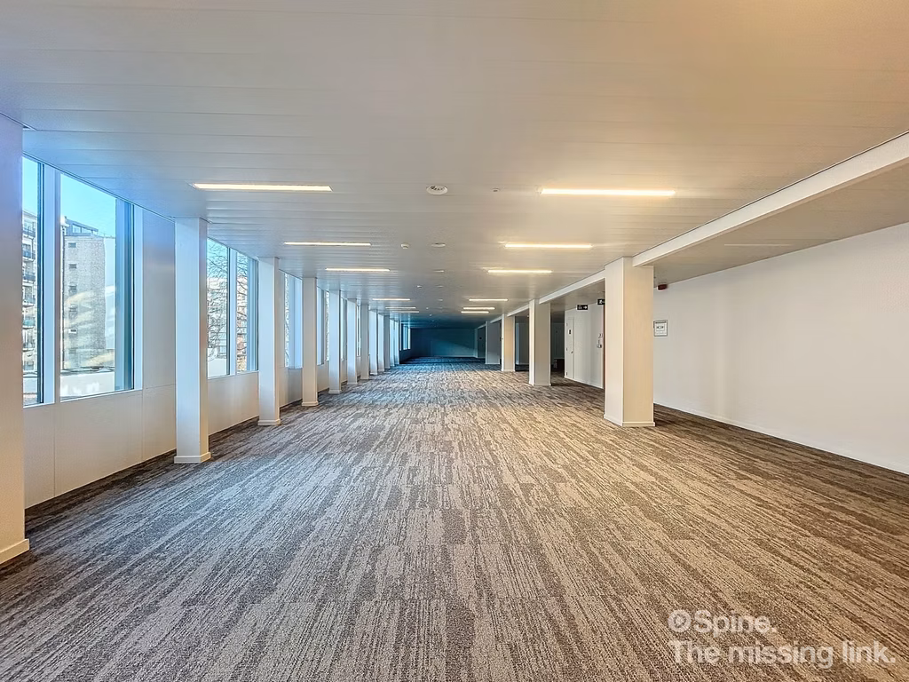 LOUISE 143 E-LITE - B - 352/1300