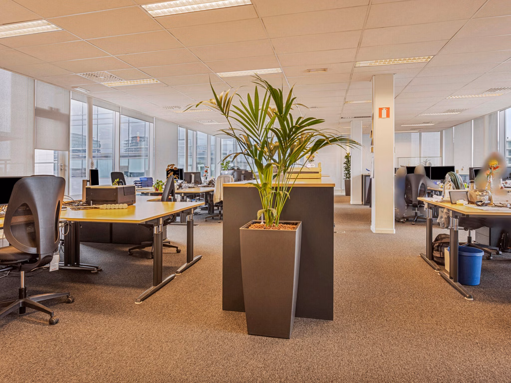 À LOUER BUREAUX ANVERS