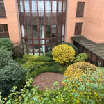 BOIS SAUVAGE 17 -  - 352/3685