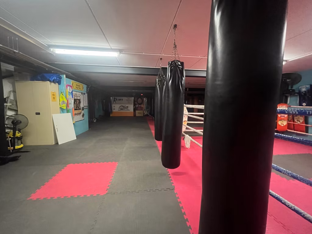 BRUSSELSESTEENWEG 445