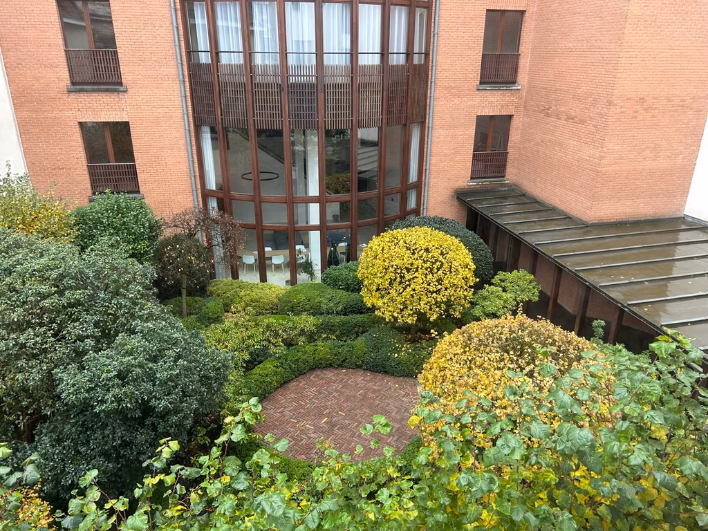 BOIS SAUVAGE 17 -  - 352/3685