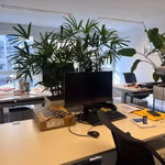 BUREAUX A LOUER - PLUG & PLAY