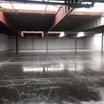 TE HUUR MAGAZIJN EN TERREIN MOL