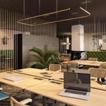 GREENHOUSE DESGUINLEI 100