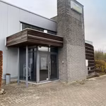 BRUSSELSESTEENWEG 16A