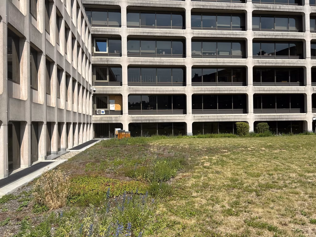 A LOUER - BUREAUX - BRUXELLES