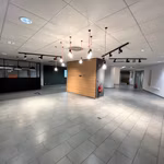 KONING LEOPOLD III PLEIN