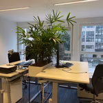 BUREAUX A LOUER - PLUG & PLAY