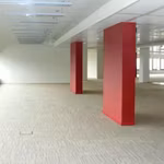 MARQUIS 1 - B - 352/0919