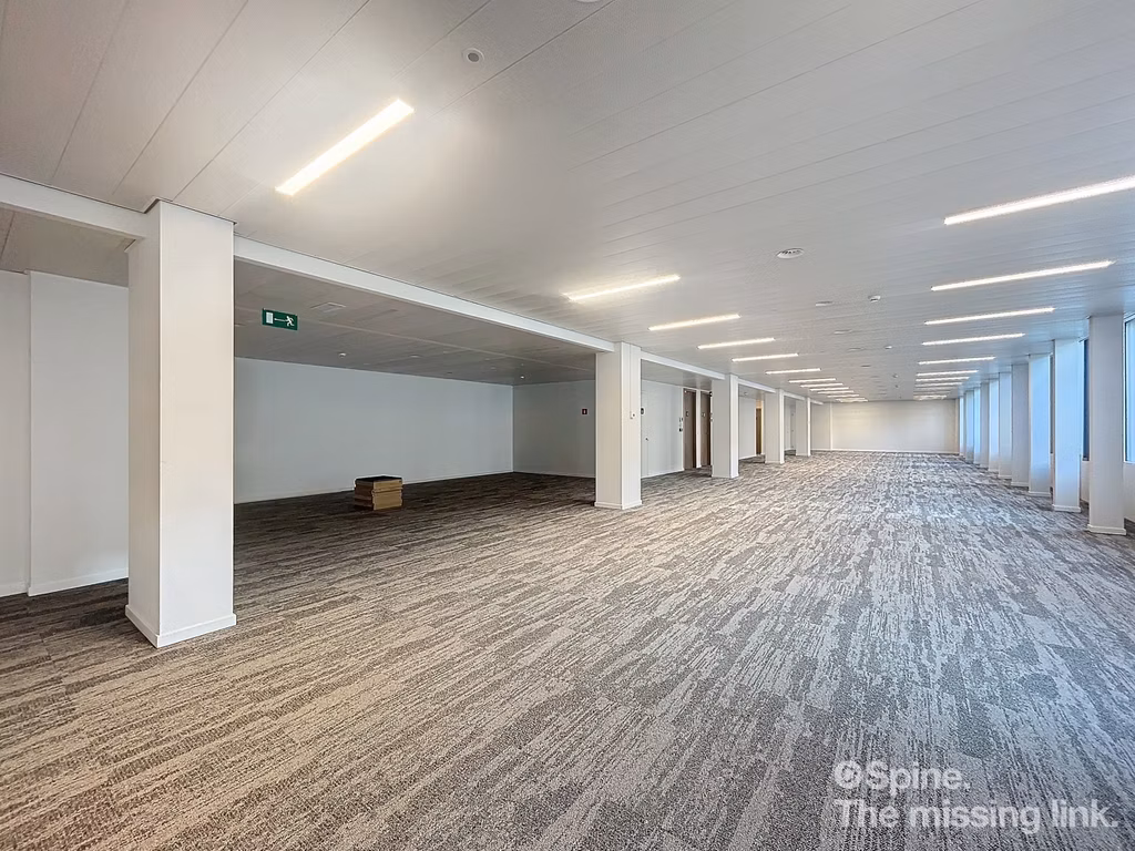 LOUISE 143 E-LITE - B - 352/1300