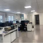 PEDRO COLOMALAAN 11 - E - 352/3880