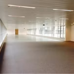 COCKX 08-10 OMEGA COURT - B - 352/0037