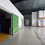 WATERKERINGSTRAAT 19