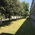 GEZELLESTRAAT GUIDO 125 - B - 352/2720