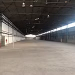 VIEILLE FOSSE 60 (hall 5)