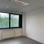 Industriel à louer <br> Bornem