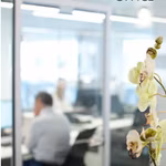 Bureau à louer <br> Brussels