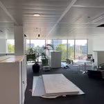 TE LET - OFFICES - VILVOORDE