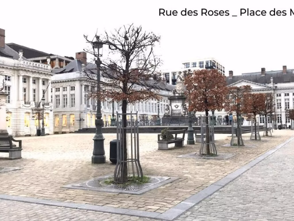 ROSES 2-6 - B - 352/3570