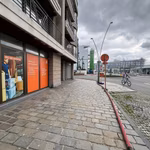 KONING LEOPOLD III PLEIN