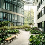 Office for rent <br> Bruxelles
