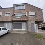 HASSELTSESTEENWEG 19