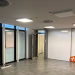 KONING LEOPOLD III PLEIN